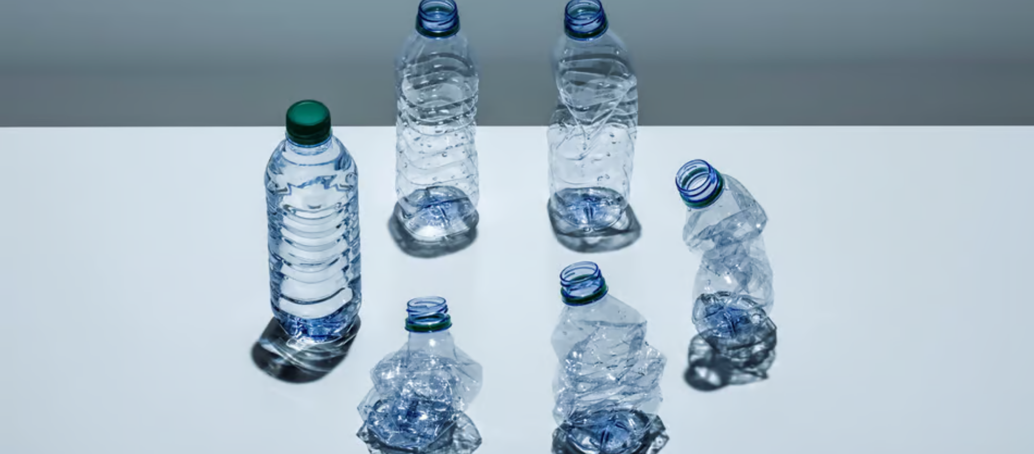 Infographic support pic