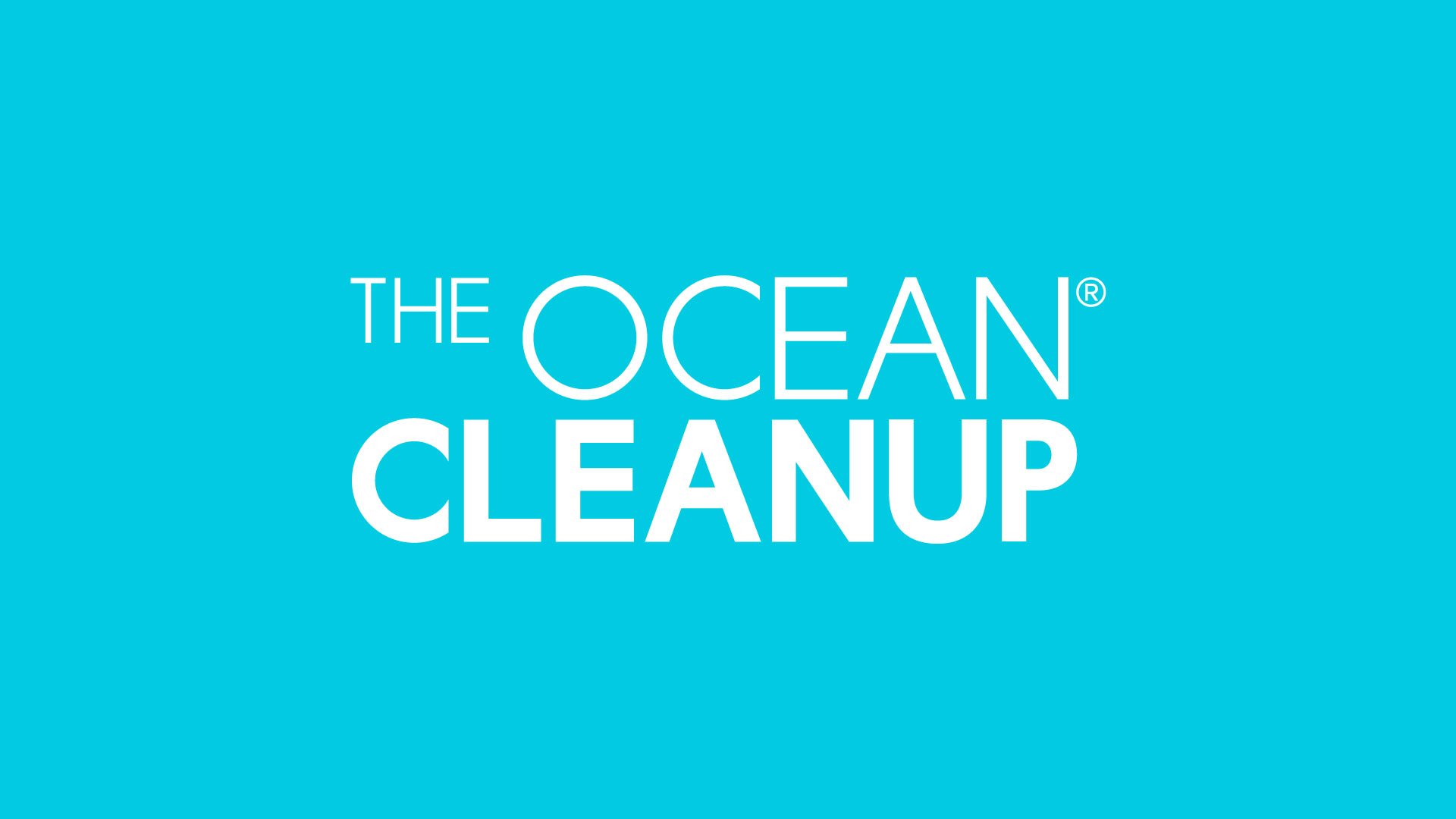 Ocean clean up - image